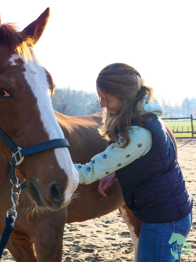 Zo werk ik met jouw paard